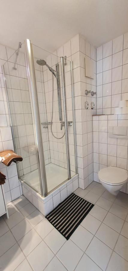 Schoene Ruhige Und Helle Wohnung In Bad Saeckingen Екстериор снимка